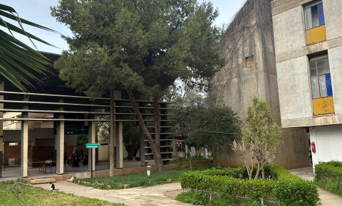 WhatsApp Image 2023-03-19 at 16.51.08 (1)