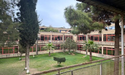 WhatsApp Image 2023-03-19 at 16.51.10 (2)