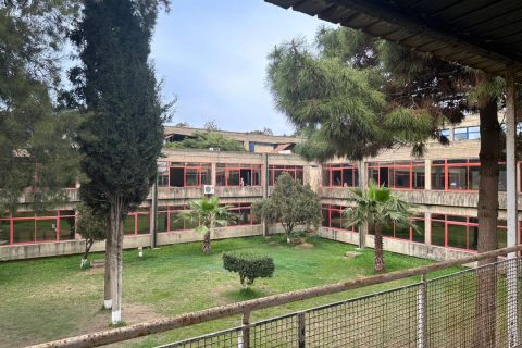 WhatsApp Image 2023-03-19 at 16.51.10 (2)