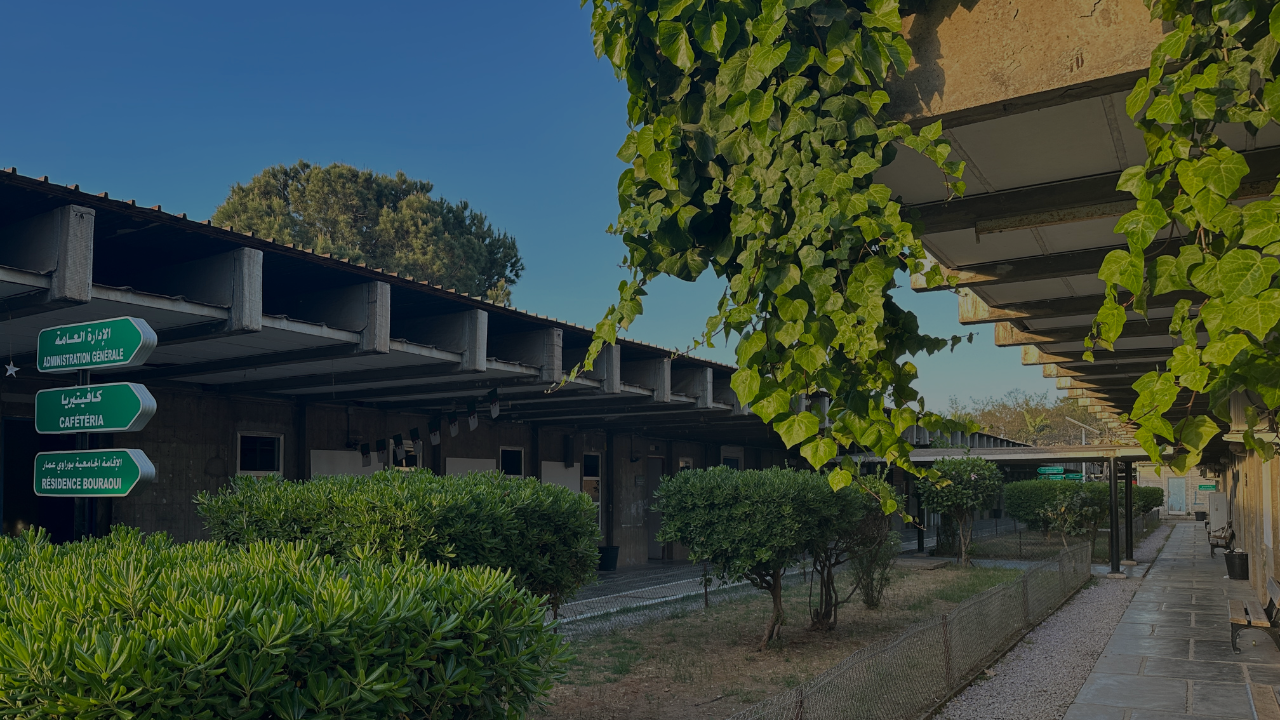 Beige minimalist photo collage (1)