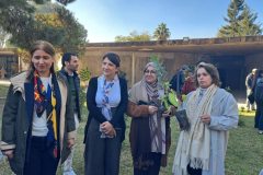 597715201_1342115267929896_6218799938483373776_n